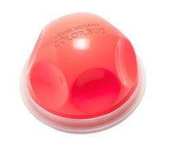 ORANGE COLOUR BUG - THE BOX BOUTIQUE