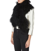 COOKIES COLLAR - THE BOX BOUTIQUE