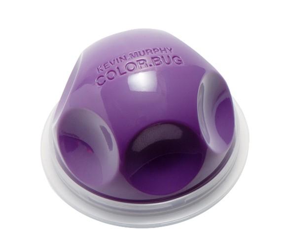 PURPLE COLOUR BUG - THE BOX BOUTIQUE