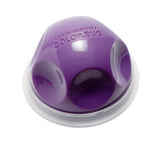 PURPLE COLOUR BUG - THE BOX BOUTIQUE